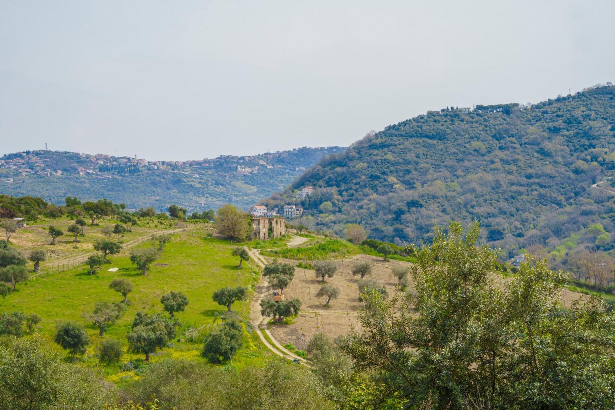 Il Panorama Housing Cilento Aparthotel Santa Maria di Castellabate Ngoại thất bức ảnh